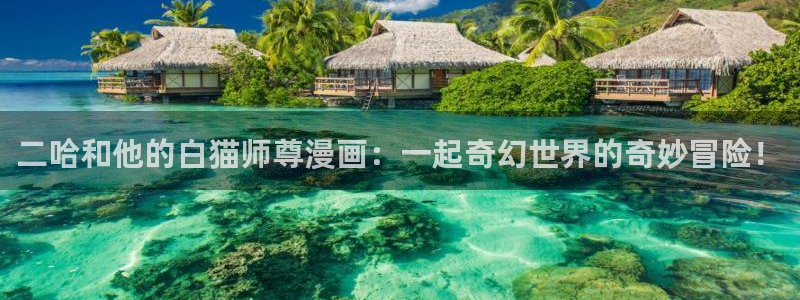耽美漫画无删减